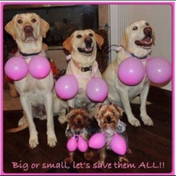 Breast Friend Follow Game Breast Cancer Edition - Picture 2 of 6